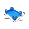 insect breeding box