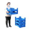 insect breeding box