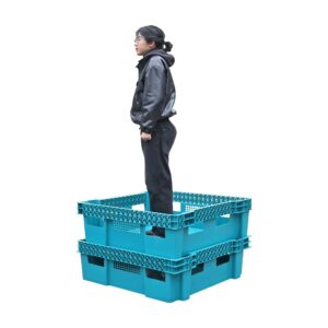 Big Stackable mealworm trays