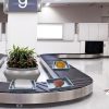 security tray airport